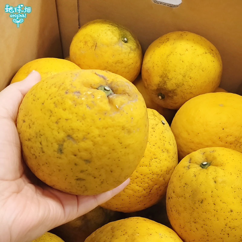 (�Ĥ�鷺��) �����մ��ʤ�����Ф󤫤�� 4kg ���̺��� ȯ������3���8��