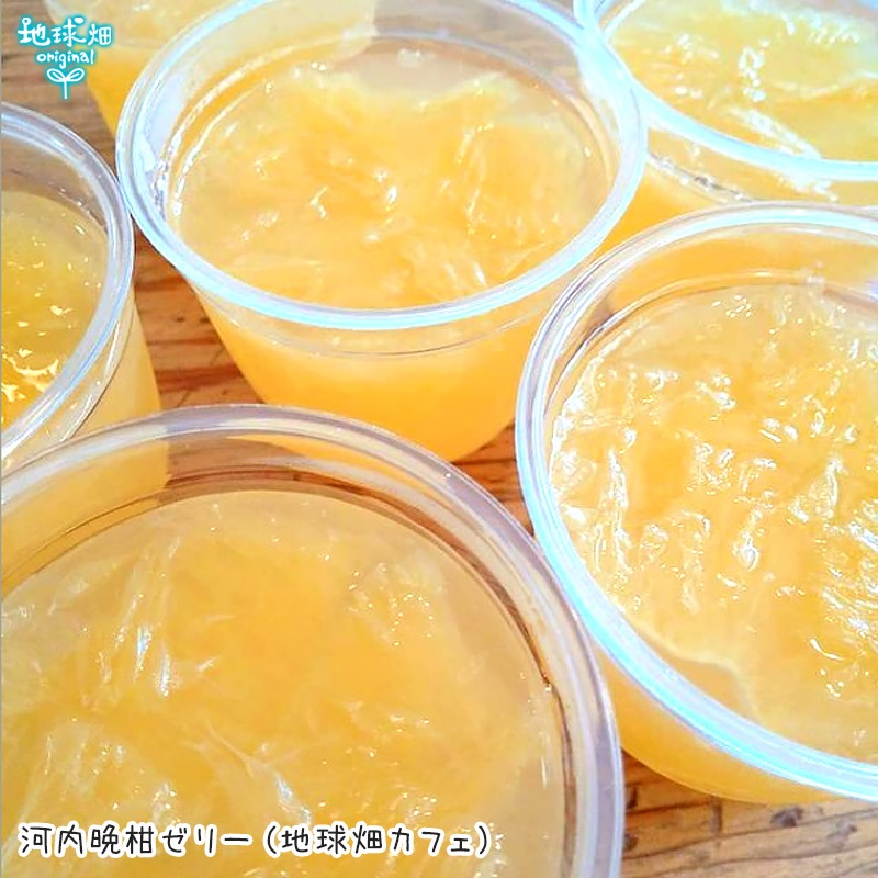 (�Ĥ�鷺��) �����մ��ʤ�����Ф󤫤�� 4kg ���̺��� ȯ������3���8��
