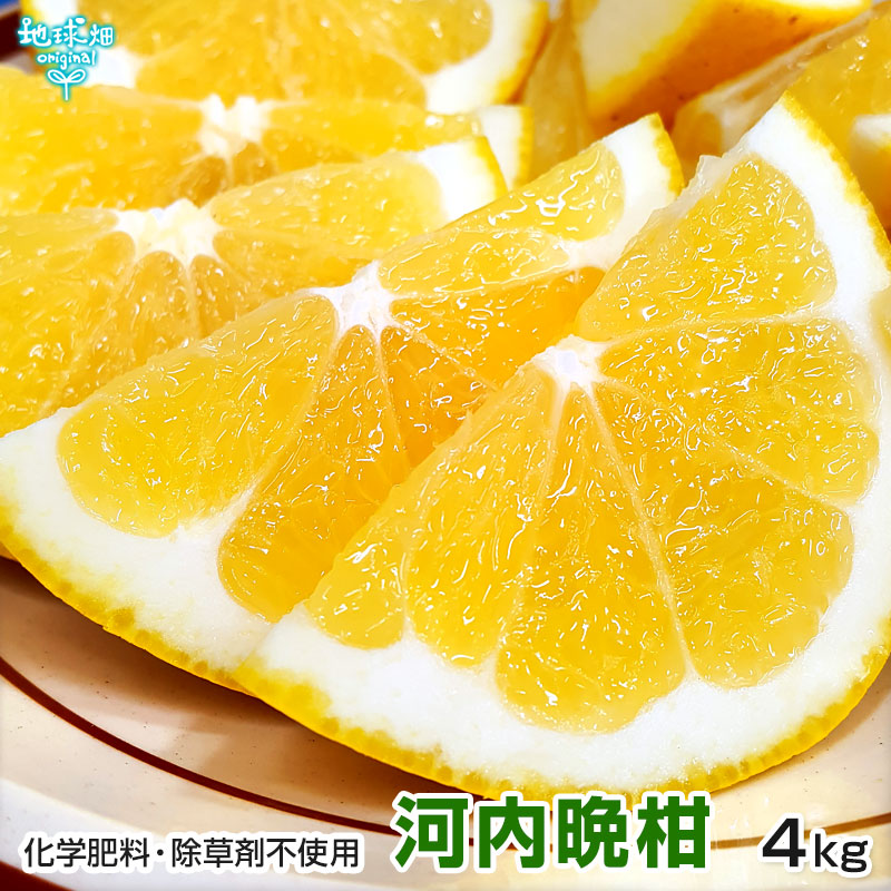 (�Ĥ�鷺��) �����մ��ʤ�����Ф󤫤�� 4kg ���̺��� ȯ������3���8��