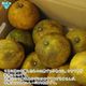 (�Ĥ�鷺��) �����մ��ʤ�����Ф󤫤�� 4kg ���̺��� ȯ������3���8��