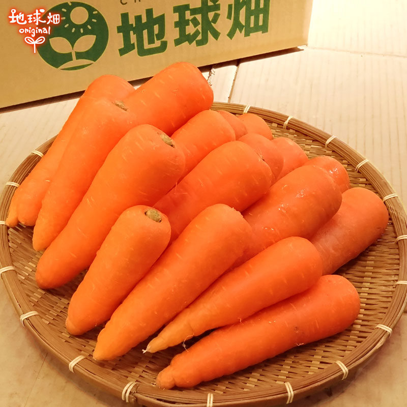 人参 4kg (1本70～299g) 発送期間12月～6月 | 箱売り野菜 | 地球畑