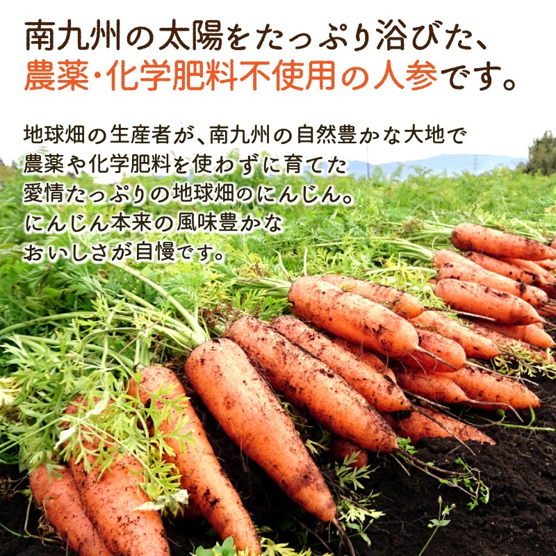 人参 20kg 04 71lw4iWyJiL._UF350,350_QL80_.jpg
