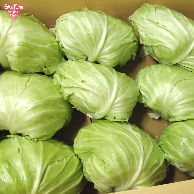 ����٥�(�७) ��10kg(6��10��) ȯ������12���5����