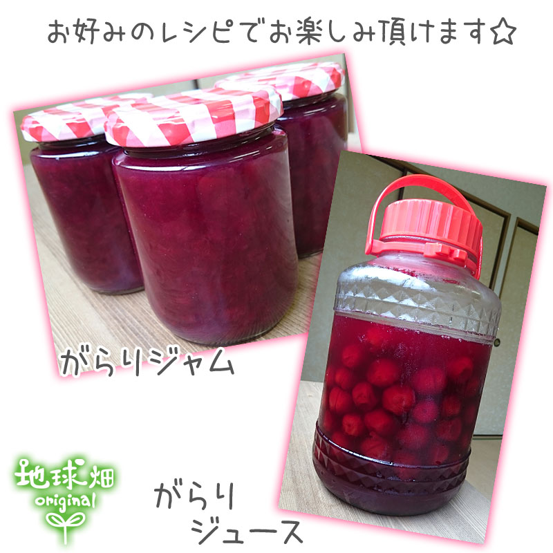 ������ �����(�����) 2kg ��¢�� ȯ������6��
