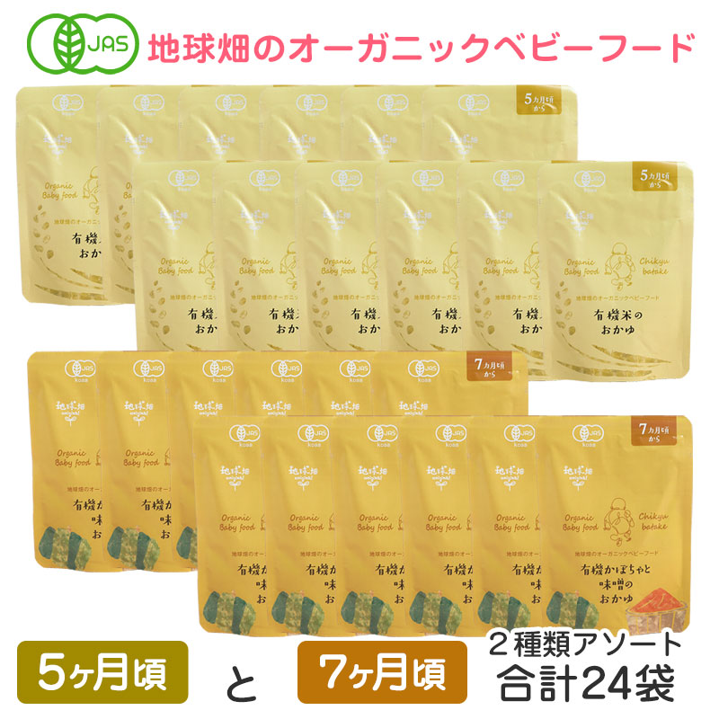 �������˥å��٥ӡ��ա��ɡ�ͭ���ƤΤ�����12�ޡ�ͭ�����ܤ����̣���Τ�����12�ޡ���24��