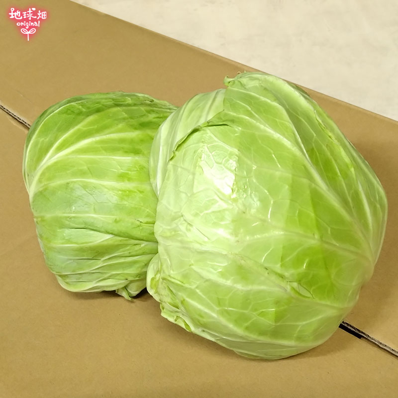 ����٥� 1�� (700���) ȯ������12���5����