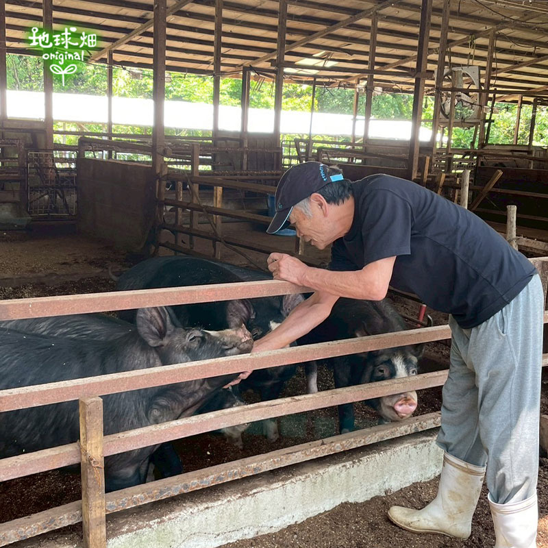 No.5-6 ϻ����� ���äѤꤷ��֤���֥��å� 1kg(5��6����)������������������̡�