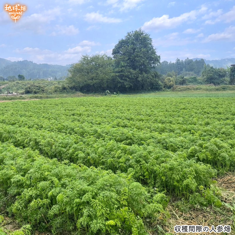���䤢�꤬�Ȥ��������ޤ��� ��¼�����ͭ���ͻ� ML������ 10kg ȯ������1���3�� �ڻ���ľ��������̵�� �������ϰ����������� ��ľ