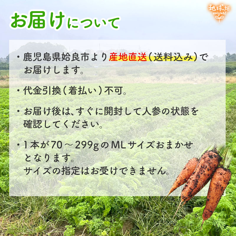 ���䤢�꤬�Ȥ��������ޤ��� ��¼�����ͭ���ͻ� ML������ 10kg ȯ������1���3�� �ڻ���ľ��������̵�� �������ϰ����������� ��ľ