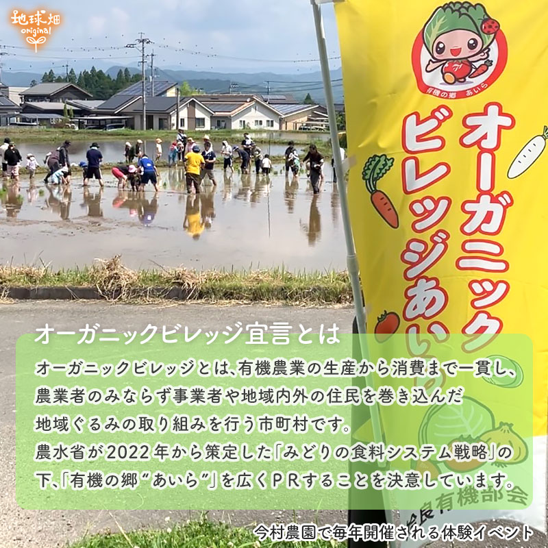���䤢�꤬�Ȥ��������ޤ��� ��¼�����ͭ���ͻ� ML������ 10kg ȯ������1���3�� �ڻ���ľ��������̵�� �������ϰ����������� ��ľ