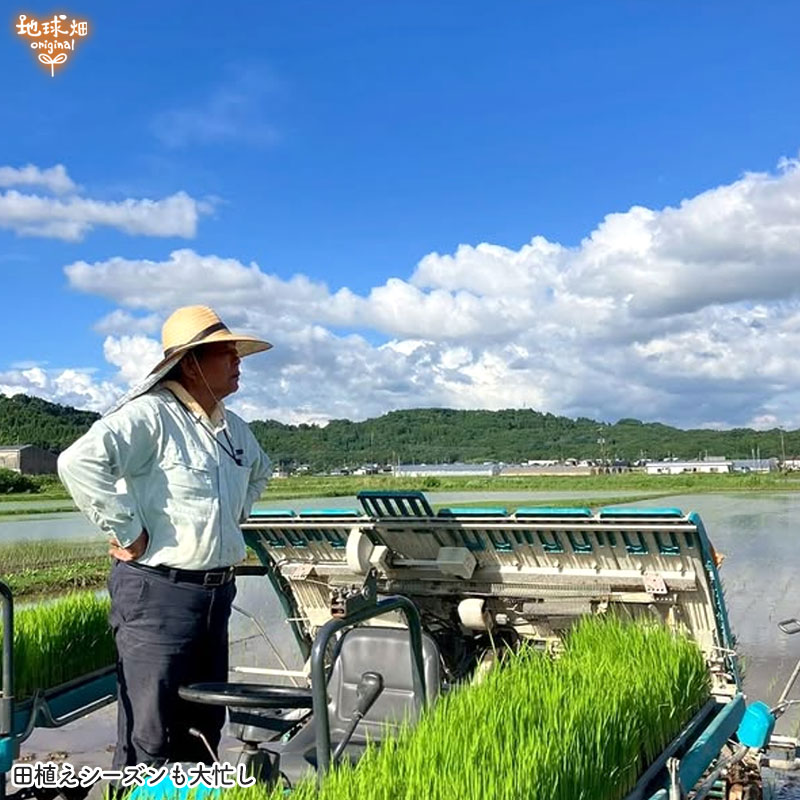 ���䤢�꤬�Ȥ��������ޤ��� ��¼�����ͭ���ͻ� ML������ 10kg ȯ������1���3�� �ڻ���ľ��������̵�� �������ϰ����������� ��ľ