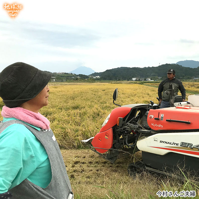 ���䤢�꤬�Ȥ��������ޤ��� ��¼�����ͭ���ͻ� ML������ 10kg ȯ������1���3�� �ڻ���ľ��������̵�� �������ϰ����������� ��ľ