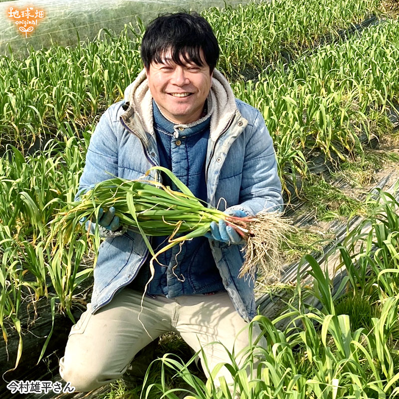 ���䤢�꤬�Ȥ��������ޤ��� ��¼�����ͭ���ͻ� ML������ 10kg ȯ������1���3�� �ڻ���ľ��������̵�� �������ϰ����������� ��ľ