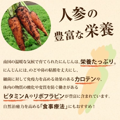 人参 500g (1本70～299g) 発送期間12月～6月 | パック売り野菜 | 地球