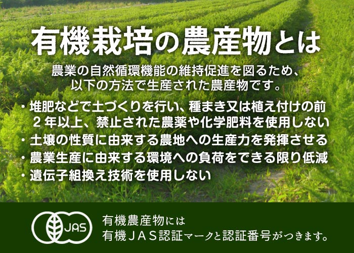 䤭 ͭǼ 400g10p (13060gΥߥ˥ߥ˥) 