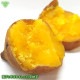 䤭 ͭǼ 400g10p (13060gΥߥ˥ߥ˥) 