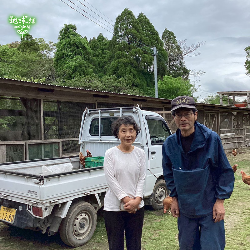 No.6-1 ��������η��ӥ��å�(5����) �����ءڻ���ľ��������̵����