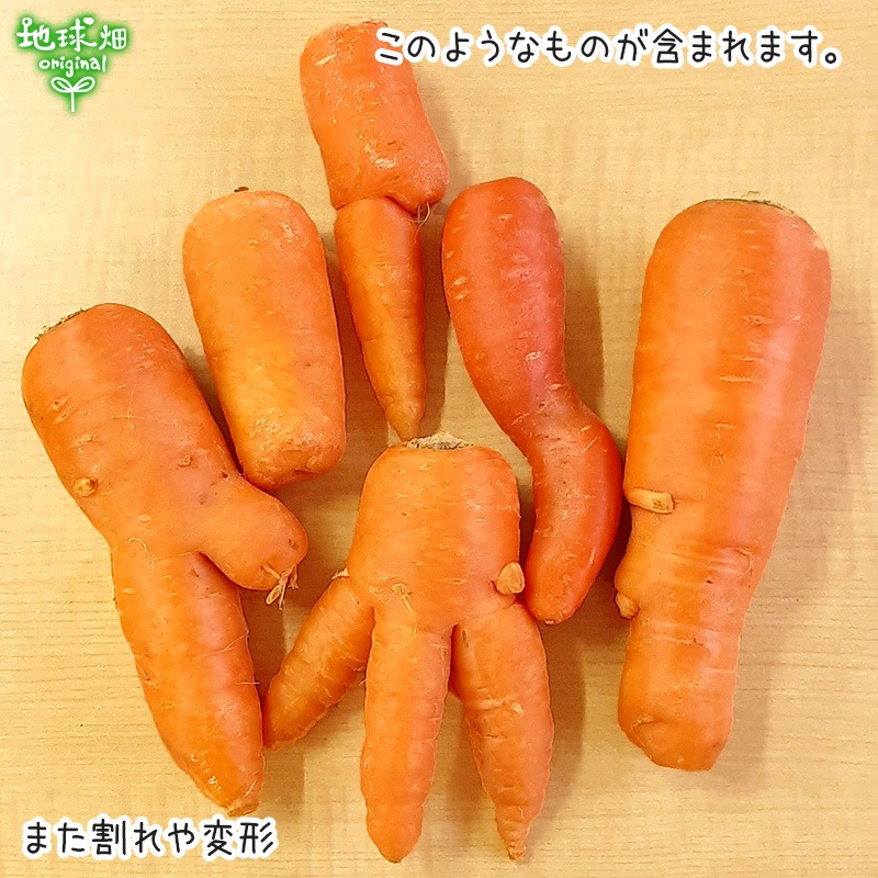 ������ �ͻ� 4kg ��¢�� ȯ������12���9��