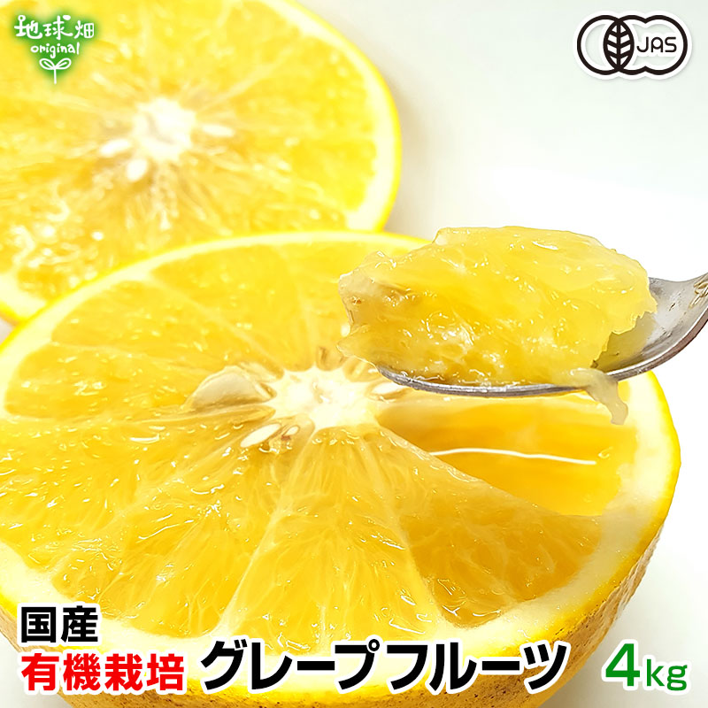 ���졼�ץե롼�� 4kg ͭ������ ȯ������4��7����