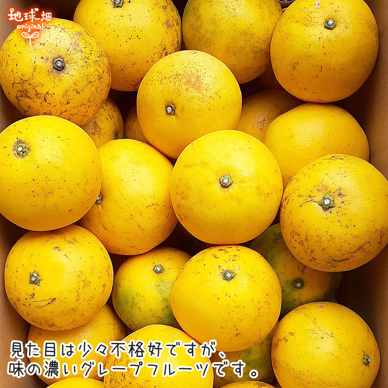 ���졼�ץե롼�� 4kg ͭ������ ȯ������4��7����