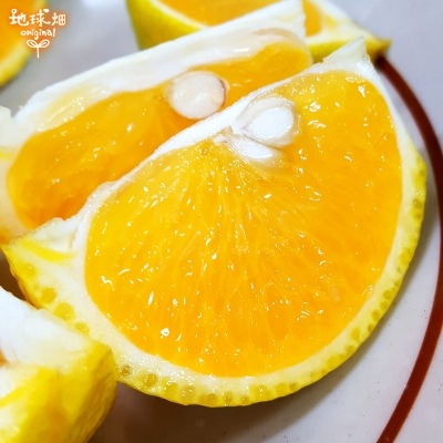 �������ȥ��ץ�� 2kg ȯ������12���2��