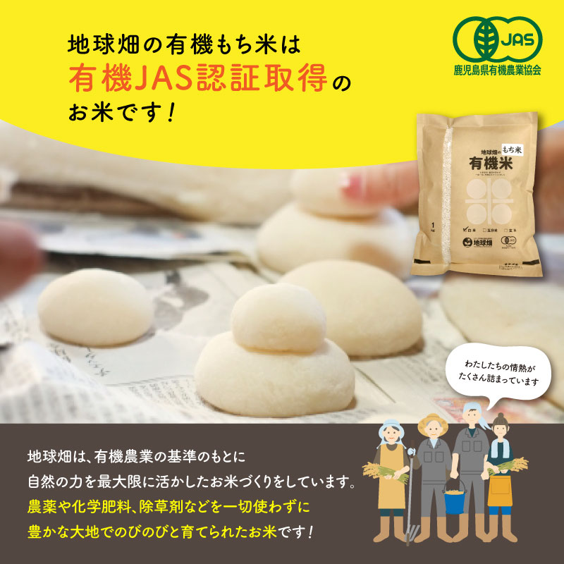 5/21ȯ�� ͭ�������(����) 1kg ���� ������� ����