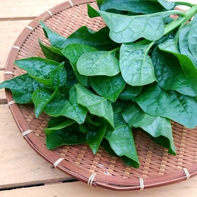 �ĥ��饵�� 200g ��¢�� ȯ������6���8��