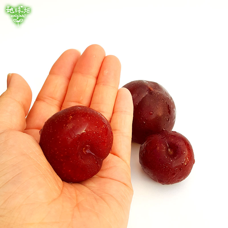 �����(�����) 2kg ��¢�� ȯ������6��