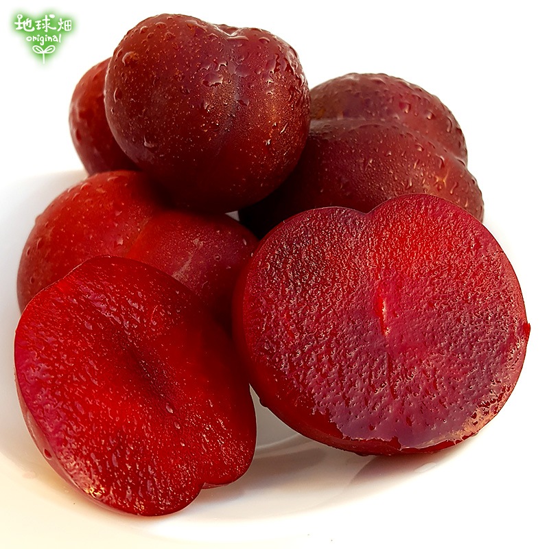 �����(�����) 2kg ��¢�� ȯ������6��