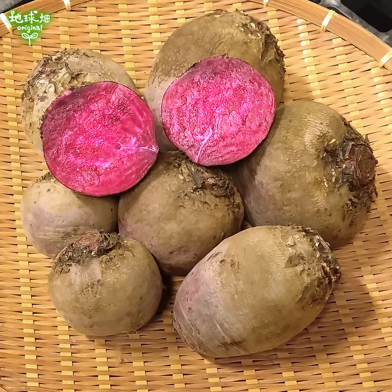 ア*ト様 ビーツ　14㌔　三浦半島　農家直送　農薬不使用【栽培期間】 ビーツ 14㌔ 三浦半島 農家直送 農薬不使用【栽培期間】