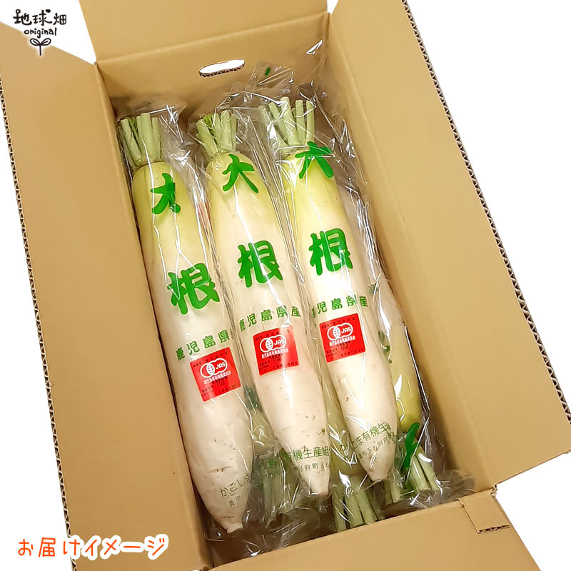 纬 (0.81.2kg) 6 ȯ11ܡ4