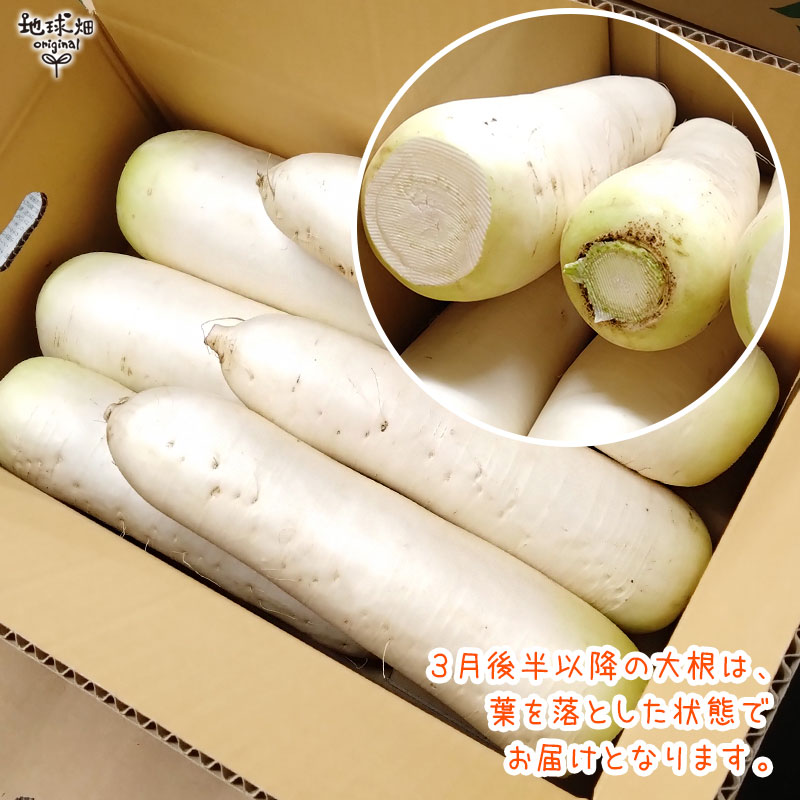 �纬 (0.8��1.2kg) 6�� ��¢�� ȯ������11��ܡ�4��