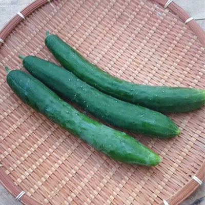 ���夦�� 3�� ��¢�� ȯ������6��7�10��