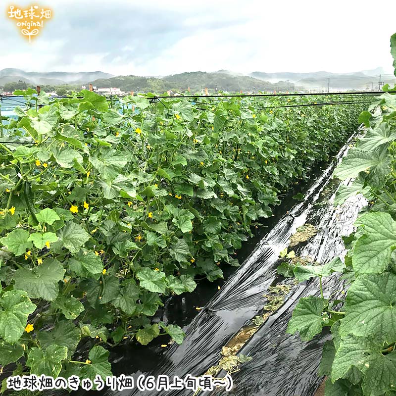 ���夦�� 3�� ��¢�� ȯ������6��7�10��