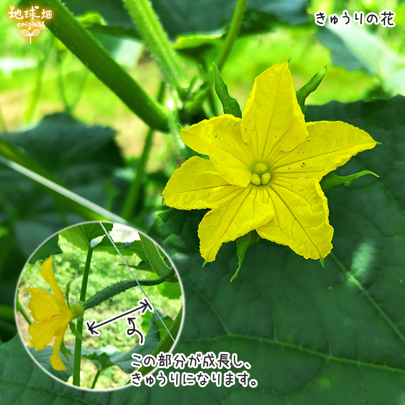 ���夦�� 3�� ��¢�� ȯ������6��7�10��