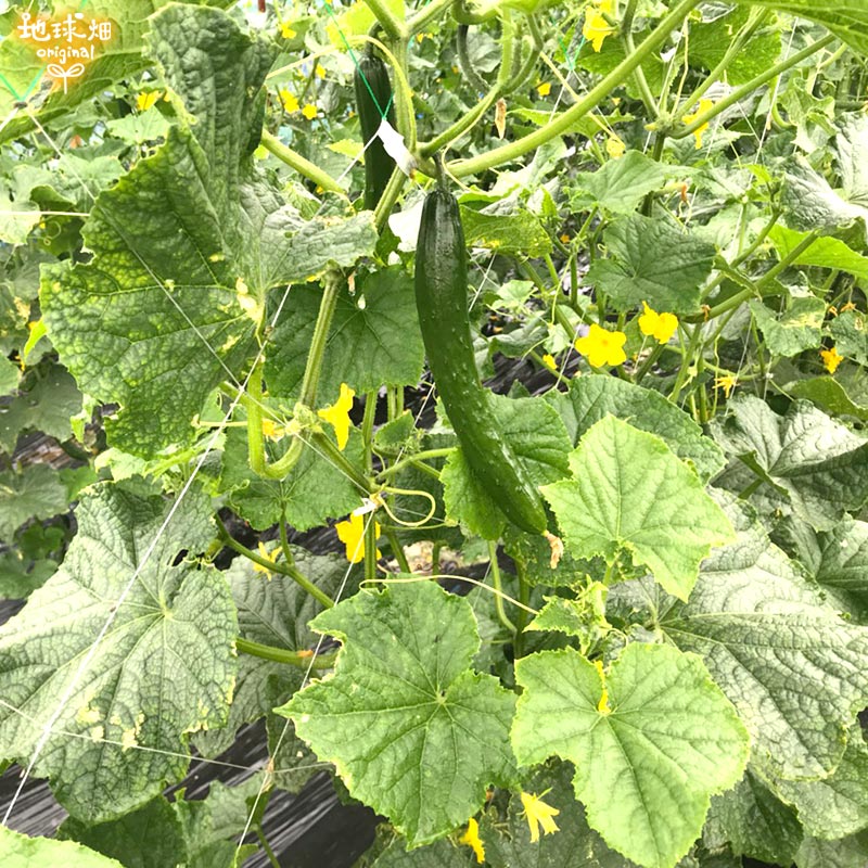 ���夦�� 3�� ��¢�� ȯ������6��7�10��