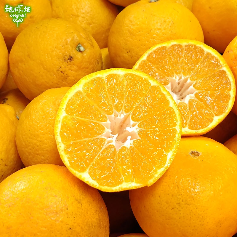 ���̥��å� ��12kg ȯ������1���4��