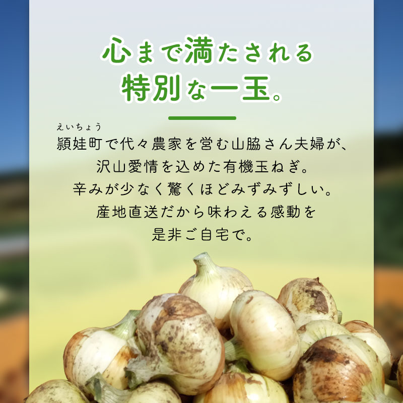 ���䤢�꤬�Ȥ��������ޤ��� ���Ƥ����ͭ���̤ͤ� 10kg ȯ������4���6��������ڻ���ľ��������̵�� �������ϰ����������� ��ľ
