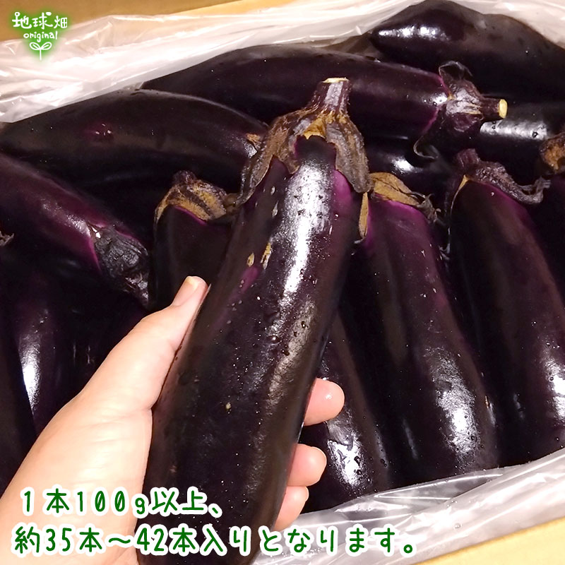 �ʤ� 5kg(35��42��) ��¢�� ȯ������6���9��