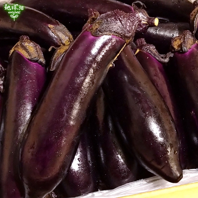 なす 5kg(35～42本) 冷蔵便 発送期間6月～9月 | 箱売り野菜 | 地球畑