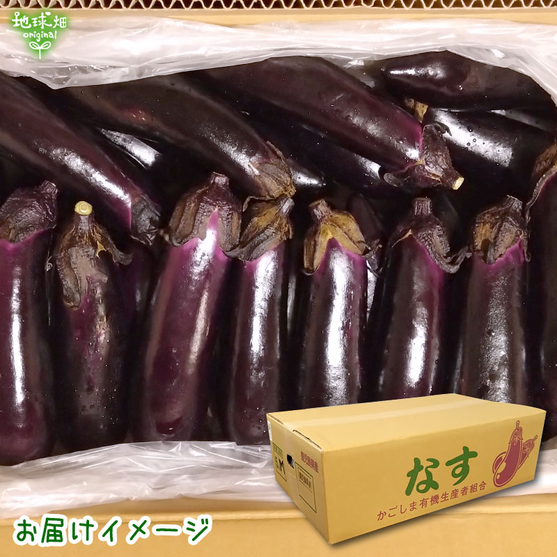 �ʤ� 5kg(35��42��) ��¢�� ȯ������6���9��