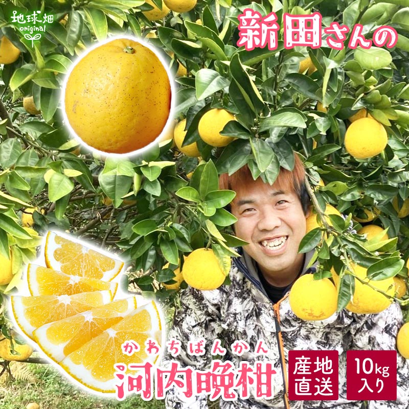 䤢꤬Ȥޤ ĤβմʤФ󤫤 10kgڻľ̵ ϰ ľ