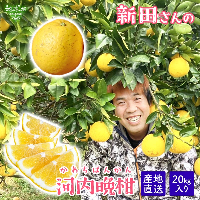 䤢꤬Ȥޤ ĤβմʤФ󤫤 20kgڻľ̵ ϰ ľ