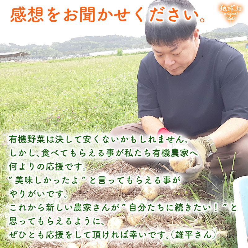 ���䤢�꤬�Ȥ��������ޤ��� ��¼�����ͭ�����ޤͤ� 10kg ȯ������5���7�� �ڻ���ľ��������̵�� �������ϰ����������� ��ľ