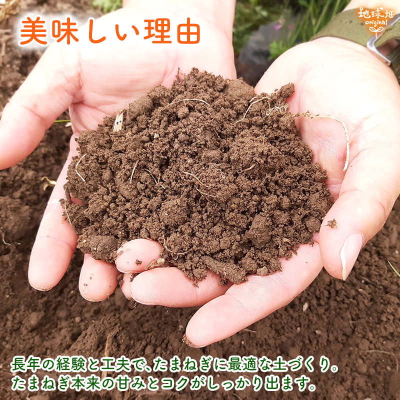 ���䤢�꤬�Ȥ��������ޤ��� ��¼�����ͭ�����ޤͤ� 10kg ȯ������5���7�� �ڻ���ľ��������̵�� �������ϰ����������� ��ľ
