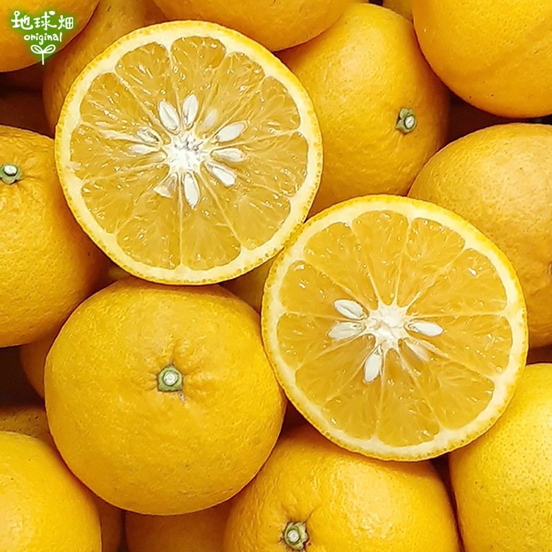 �Ų� 4kg ȯ������1������4��