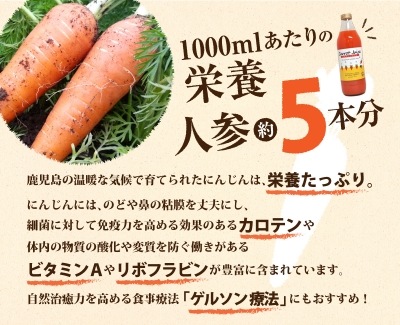 2026ǯ1��ȯ�� ��󤴿ͻ����塼�� 1000ml 12��