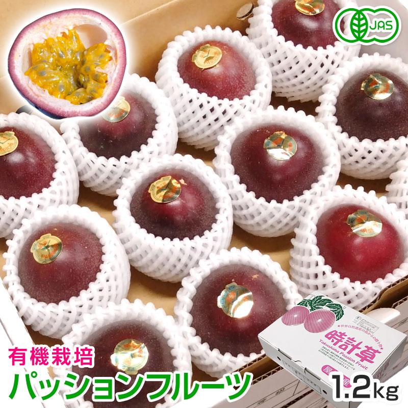 No.9-1 ͭ���ѥå����ե롼�� 1.2kg 7��ܡ�8�����ȯ���ڿ��̸����