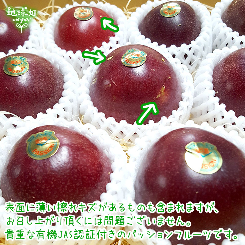新鮮グアバ 2 kg,パッションフルーツ 1 kg No.9-1 有機パッションフルーツ 1.2kg 7月下旬～8月中旬発送【数量限定