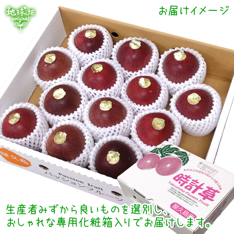 No.9-1 有機パッションフルーツ 1.2kg 7月下旬～8月中旬発送【数量限定
